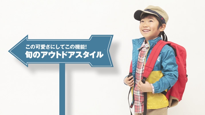 ̉ɂĂ̋@\I {̃AEghAX^C