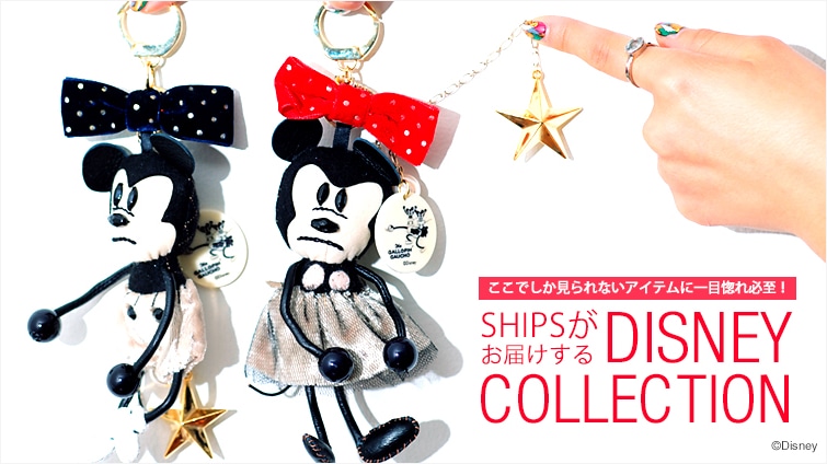 łȂACeɈڍKI SHIPS͂fBYj[RNV