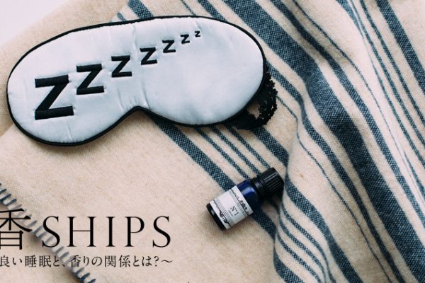 SHIPS `ǂƁÅ֌WƂ́H`