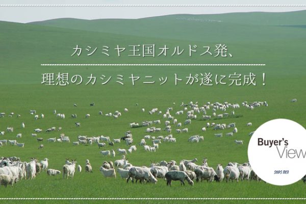 JV~IhXA z̃JV~jbgɊI