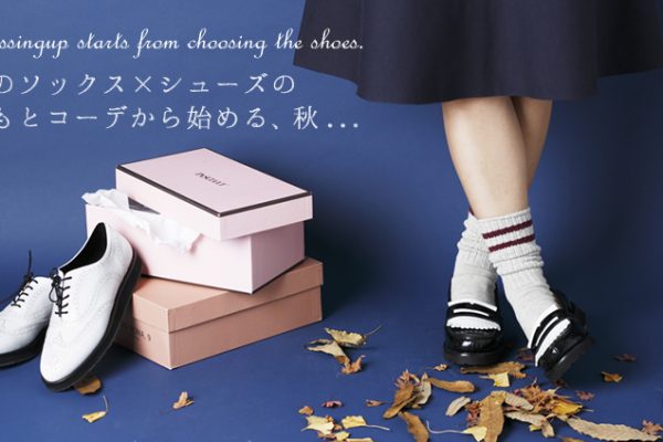 {̃\bNX×V[Y̑ƃR[fn߂AH