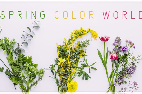 SPRING COLOR WORLD