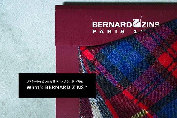 X^[g؂V܃pcuȟ  Whatfs BERNARD ZINS ?