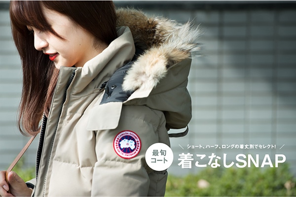 V[gAn[tAO̒ʂŃZNgI  ŏ{R[gȂSNAP