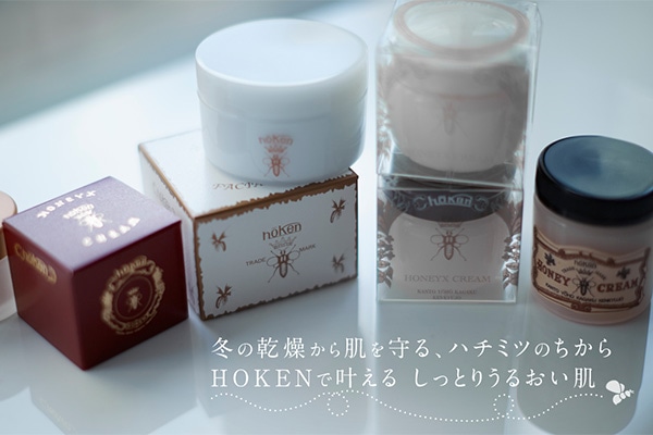 ~̊甧An`~ĉ   HOKENŊ Ƃ肤邨