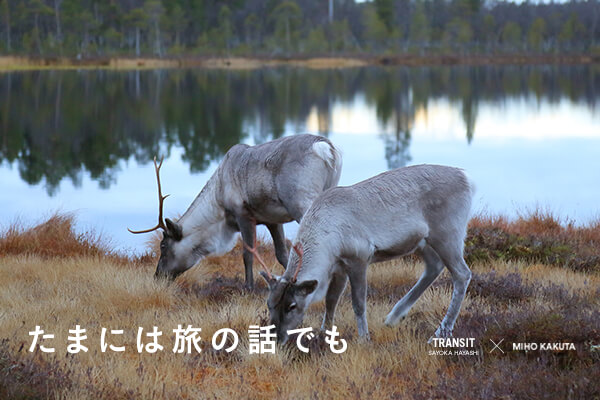 ܂ɂ̘͗bł  ?QXgFtHgOt@[E݂ق?