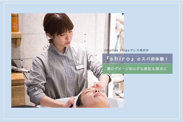 liflattie shipsvXwshirox̃Xp̌I Ẵ_[Wm炸ȑf