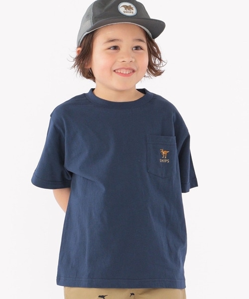 D̃LbYKITVcpcȂǋACe聙