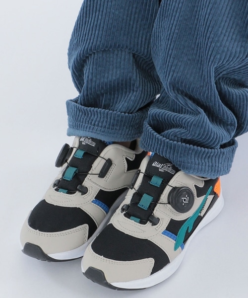 ANeBuLbYɑlĆyDIAL DRIVEz\X^[gI