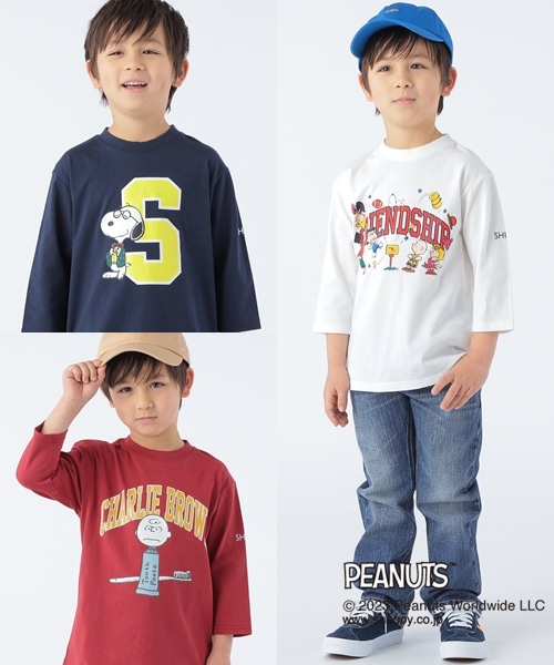 lCXk[s[V[YIg蔲Q7TEEג