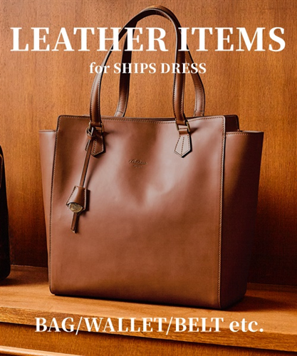 SHIPS DRESSI! ʂ郌U[ACeW