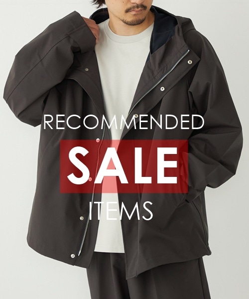 �C�����オ���Ă���G�߂ɂ��������߂ȃZ�[���A�C�e�������Љ�I