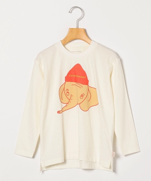 yTINY COTTONSzIXXACeЉI