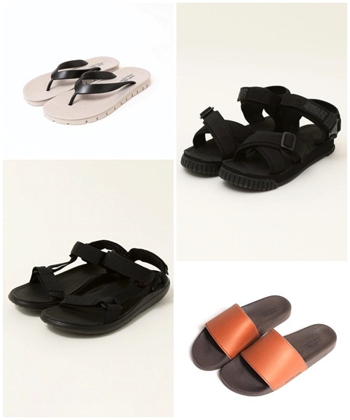 ẴIV͑Iꂩ劈̃T_ЉI