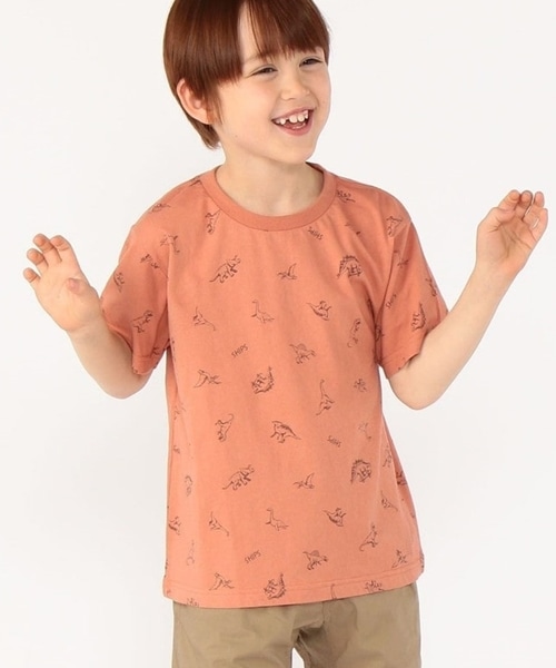 �X�P�b�`���̋����f�U�C��������������T�V���c�I