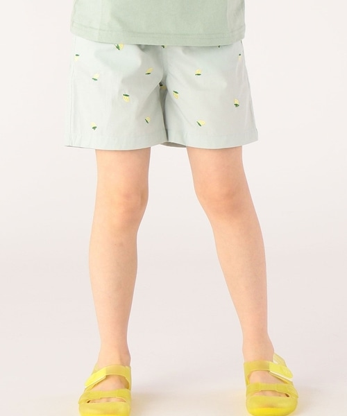 �Ă炵���������h�J���|�C���g�̃V���[�c��