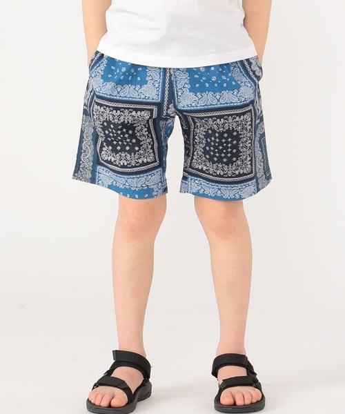 �yGramicci�z�̃y�C�Y���[���V���[�c���ʏ�̔��J�n�I