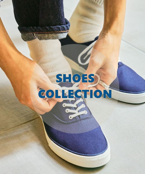 �V�����V���[�Y�ŋC�������I�X�X���W�߂܂����I�I