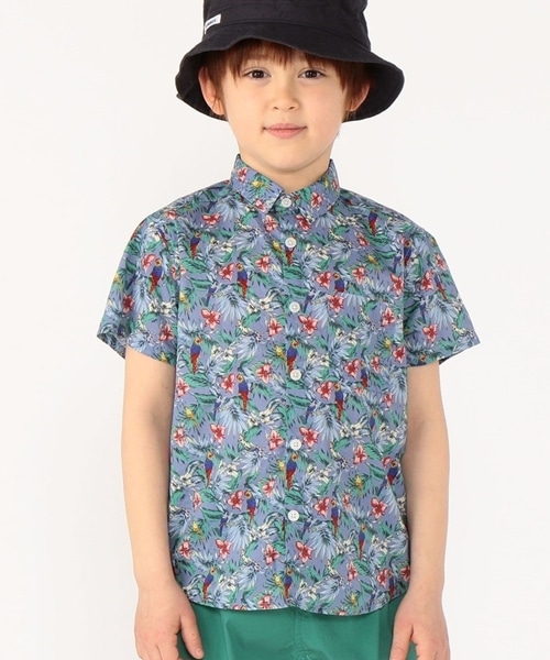 �ẴX�^�C�����O�Ɏ����ꂽ�����V���c��