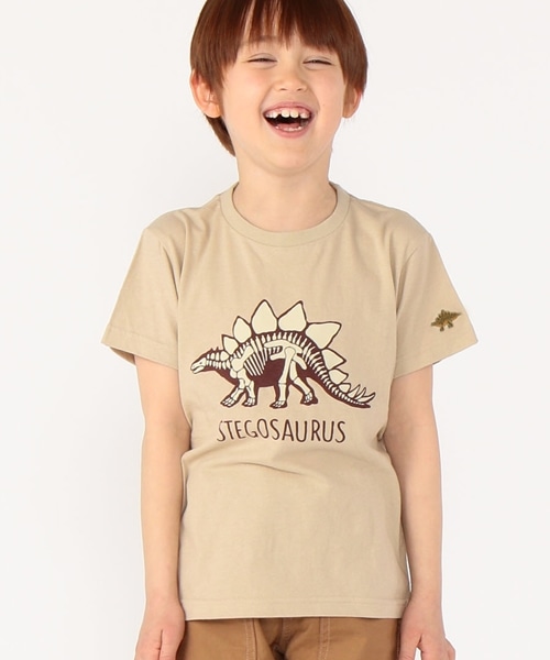 �~���v�����g���{�����V�ѐS���_��T�V���c��