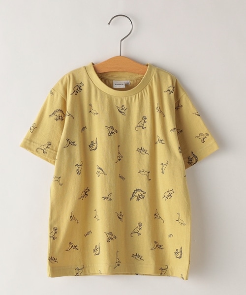 �l�C�̋����v�����gT�V���c�ɐV�F���o��I