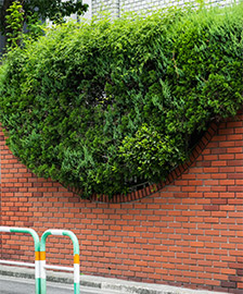 代官山 針山町エリア