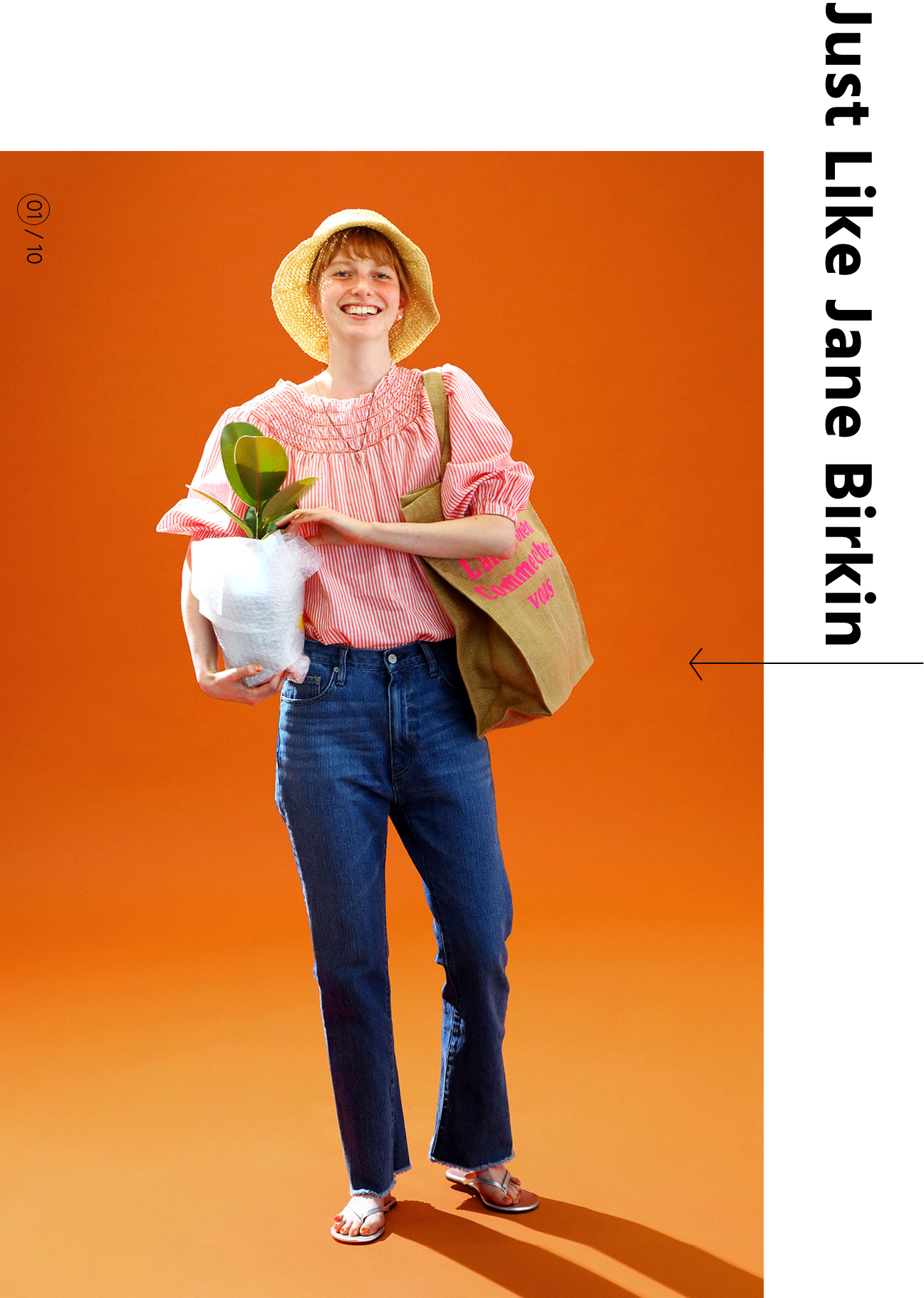 �n���[!! �W�F�[���E�o�[�L���f�j���ƃu���E�X�̑f�G�Ȋ֌W�B